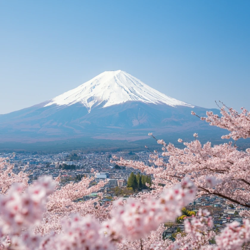利用者様の作品